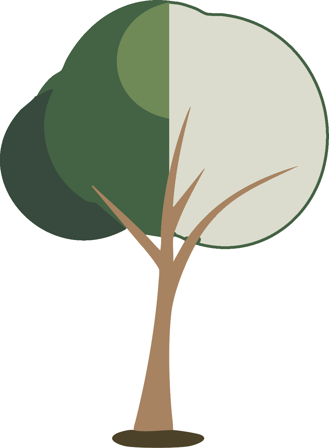Tree Pair