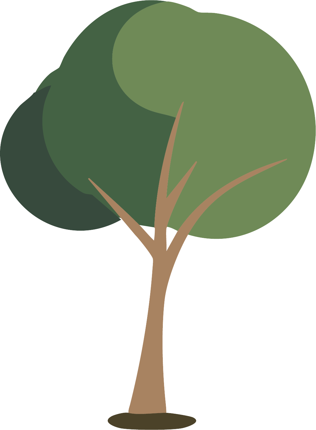 Tree Pair