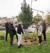 Great Lakes Commission Plants Trees in Rochester, NY